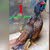 allah see all