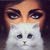 sawsan Alf