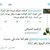 منصور الكعبي