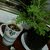 hiba wedding planner منظمة حفلات