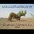 ناصر أحمد المغدي