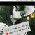 hassam