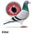 member161935001833 أبو مرتضى