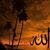 اشرف الدويبي Aldwebi