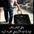 Hosam Shaheen