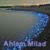 Ahlam Milad