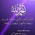 تامر غندور