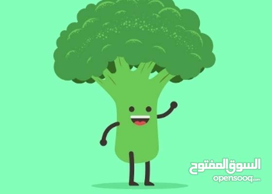 مطلوب خبيرة تغذيه بدوام كامل