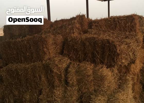 1،750علف غنم بلوبنك العبدلي (120630926) السوق المفتوح