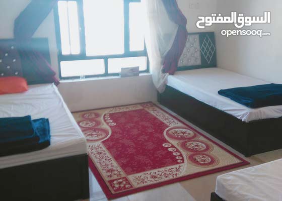 شقه ثلاث غرف مفروشه جديده للايجار ادخل للتفاصيل