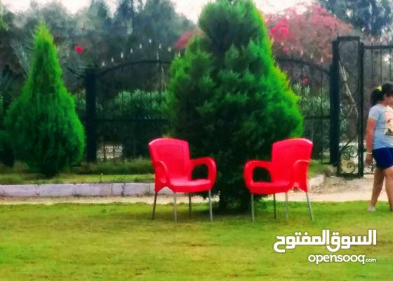 فيلا فى مصر مستقله وارض زراعيه بمساحة قصر 4200م