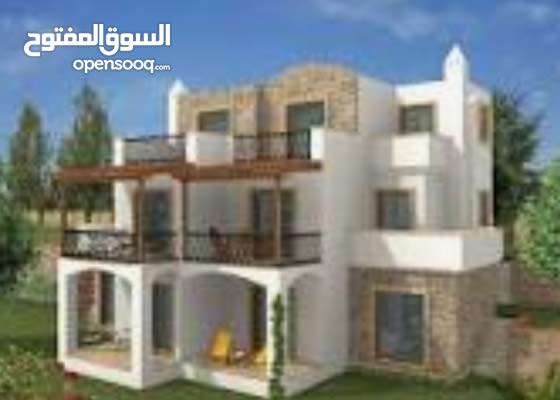 مطلوب شقه للايجار معاريس غرفه او غرفتين (123942223) السوق المفتوح