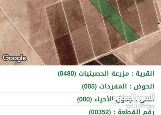اراضي للبيع بالمفرق خلف جامعه ال البيت 158743603 السوق المفتوح