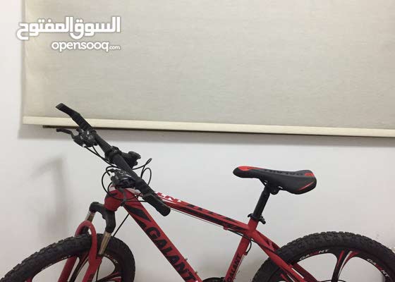 24 inch bicycle for sale