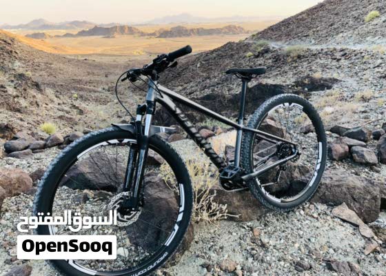 Specialized Rockhopper Comp 29er 