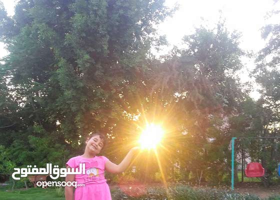امتلك فيلا مستقله وارض زراعيه مثمره فدان بمساحة قصر 4200 م فى مصروشاليه مفروش