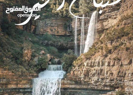 ابحث عن شقه مفروشه صغيره او غرفه سعر مناسب شهري