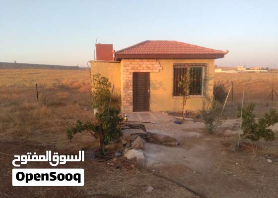 ارض 1دنم مزروع مبني عليه غرفه قرميد مع حمام. مع شيك (116767253