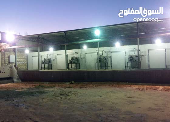 غرف تبريد وتجميد للايجار (120645082) السوق المفتوح