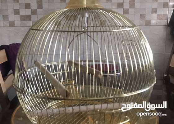 قفص عصافير دائري : اكسسوارات حيوانات طيور ودواجن : عمان ماركا 193247899 :  السوق المفتوح