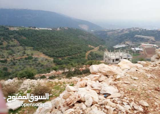 أراضي للبيع مساحات مختلفة في منطقة هادئة وتسكن صيفا وشتاءا