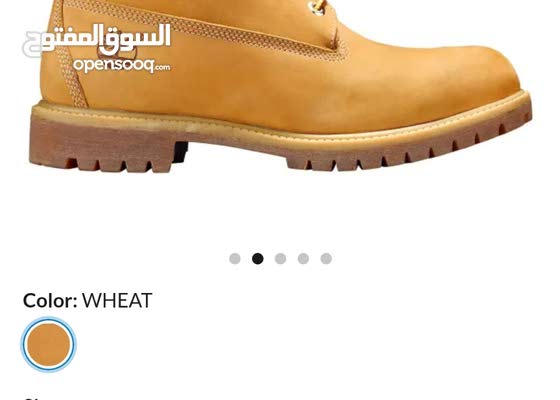 timberland jordan amman