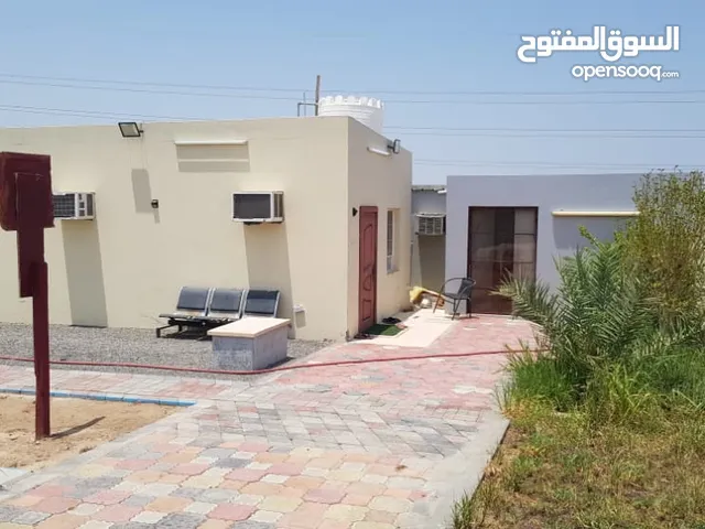 1 Bedroom Farms for Sale in Al Batinah Barka