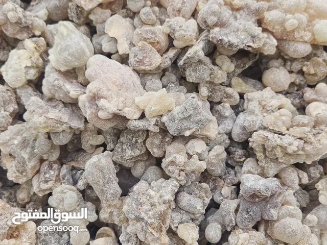 اللبان الحوجري العماني مال العلاج والدخون مستورد من جبال حاسك اجود انواع اللبان كما يتوفر اسعار جمله