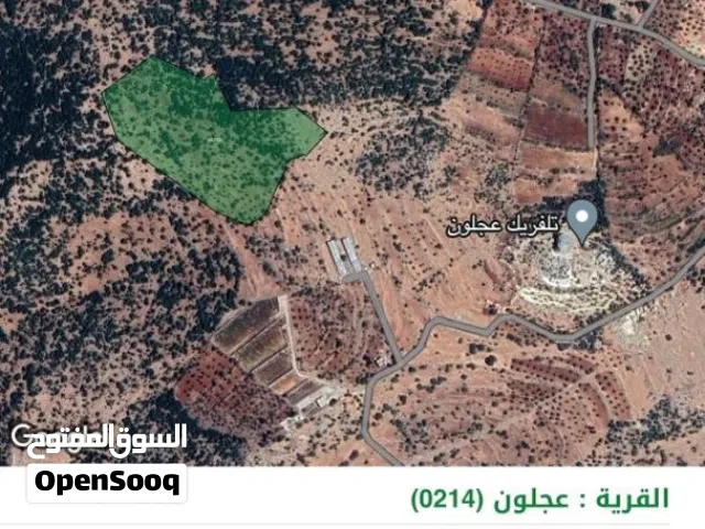 Farm Land for Sale in Ajloun Alqala'a