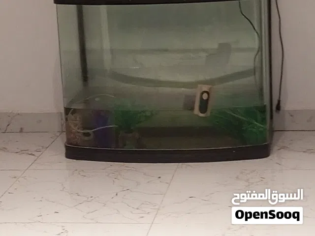السلام عليكم. حوض للبيع