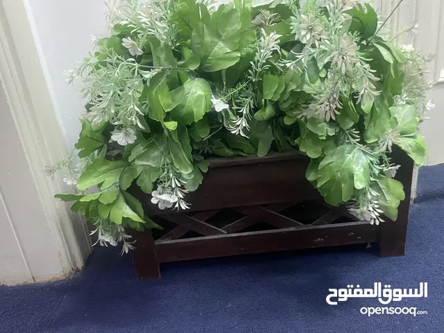 Artificial Plants with Rectangle Vase - 30 Riyal