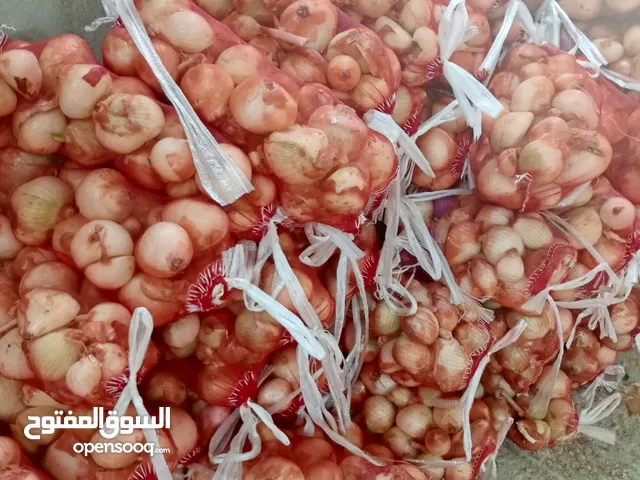 شوال بصل 4 كيلو نخب النخب 80 قرش