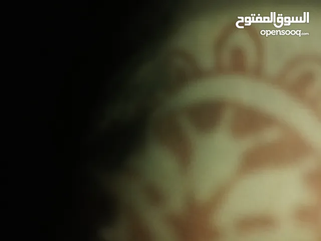 ابحت عن قطه للتبني