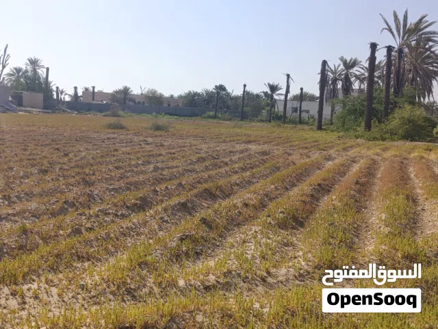 ارض زراعية للاستثمار  الماي مالح وفيها كهرباء