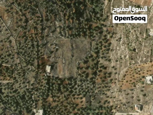 Mixed Use Land for Sale in Irbid Al Mazar Al-Shamali