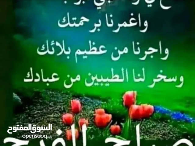 مطلوب شقه للايجار مدينه نصر لاسره تشطيب