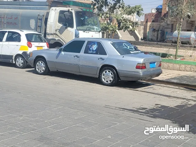 مريديس ارنب أمريكي