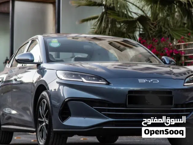 2024, بي واي دي, سيل