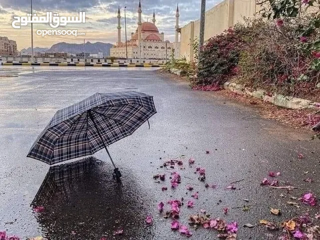 Manal Mohammed Darawesh