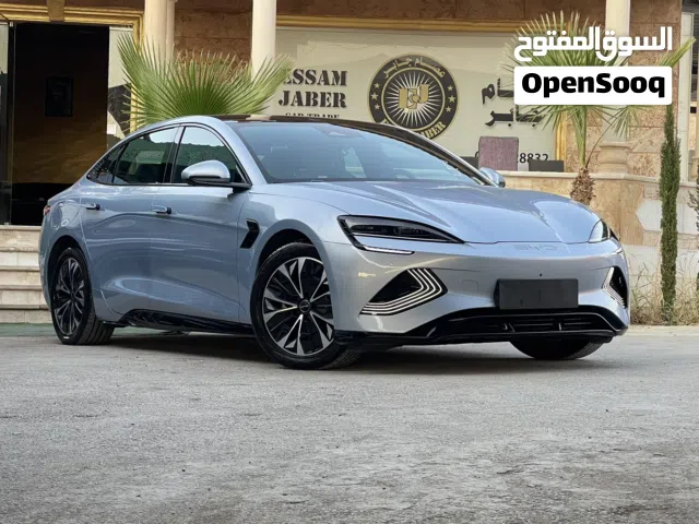 2023, بي واي دي, سيل