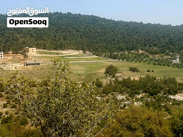 2 Bedrooms Farms for Sale in Ajloun A'anjara