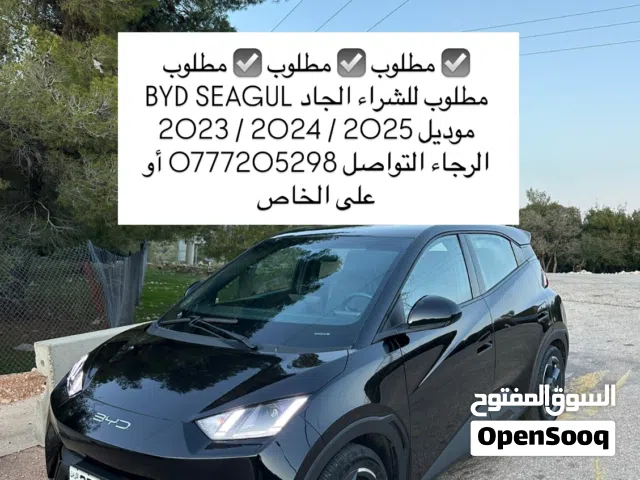 2024 BYD Seagull