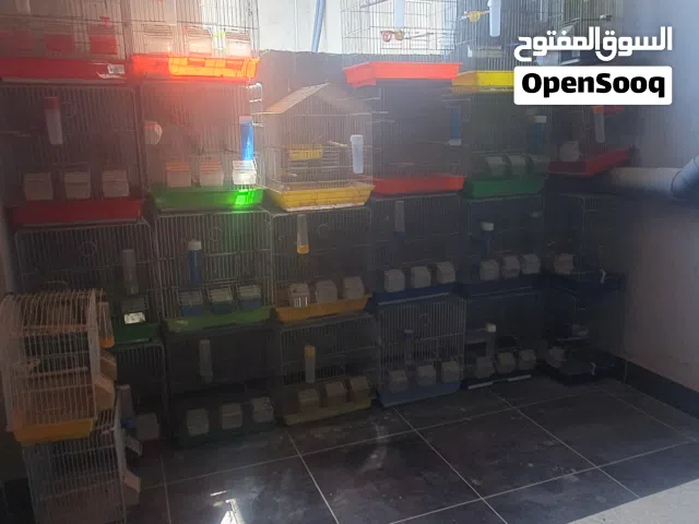 قفاص كناري عدد 22 قفص كامل 3 معالف و في هديه سعر كامل 44 دينار