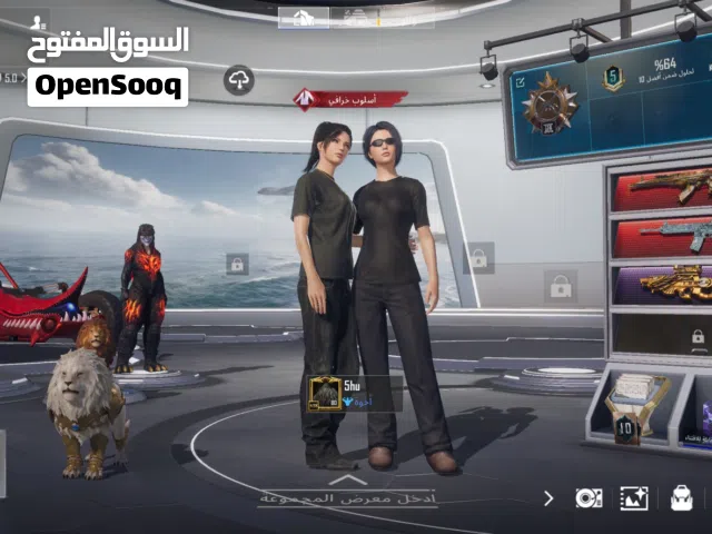 Pubg Accounts and Characters for Sale in Southern Governorate