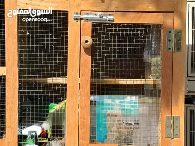 FOR SALE: 3-Portion Wooden Pigeon Cage with Wheels