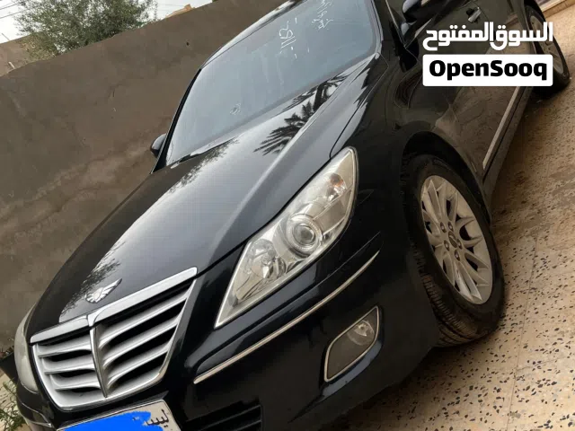 2010 جينيسيس اخرى