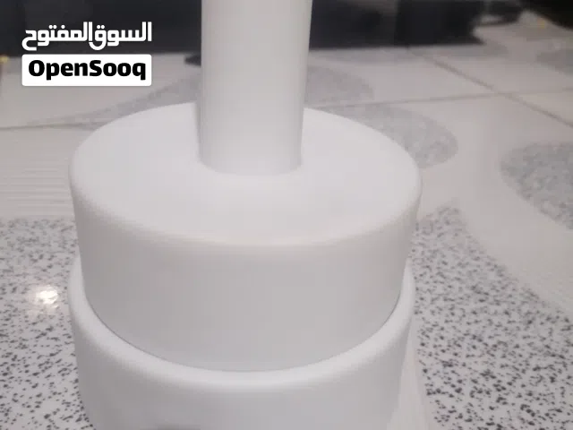 مواعين صيني قوالب