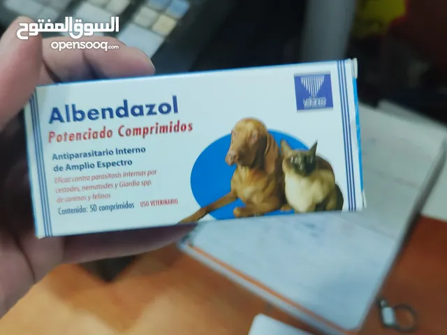 حبوب ديديان للقطط لماذا عليك اعطائه جرعة ديدان شاهد الوصف