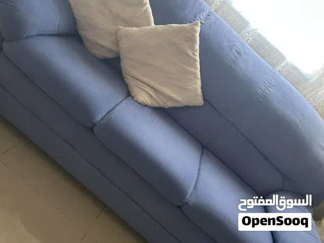 كنب امريكي دب