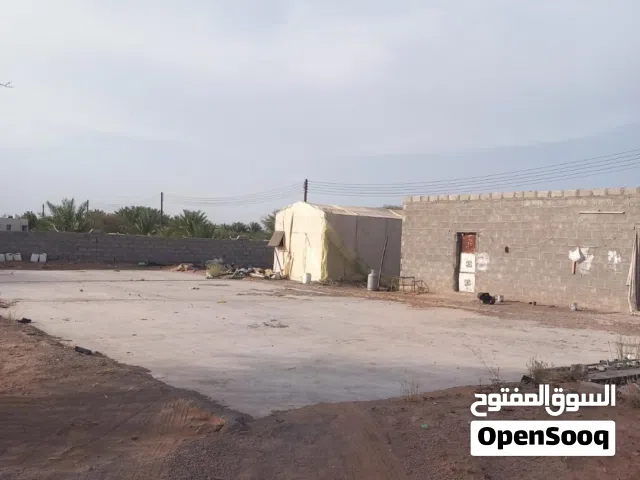 مزرعه واسعه ملك للاسثمار او البيع